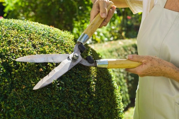 Professional landscape contractor in Temecula, CA