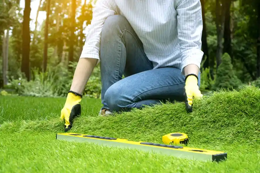 Expert Artificial Turf Installation Temecula, CA
