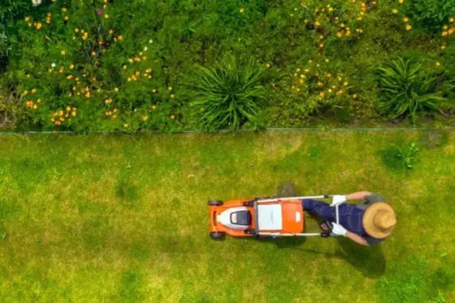 Professional Lawn Maintenance Temecula, CA