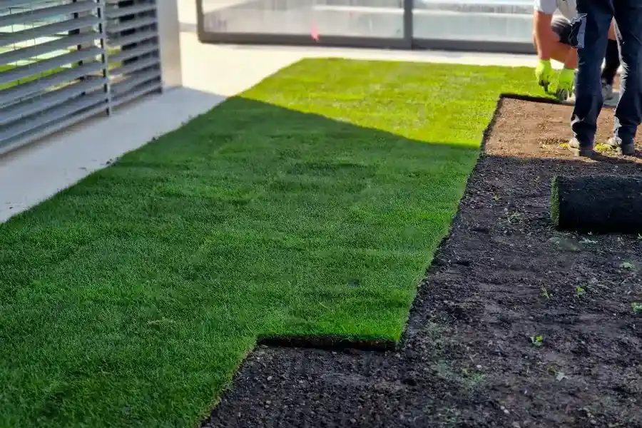 Reputable Artificial Turf Installation Temecula, CA
