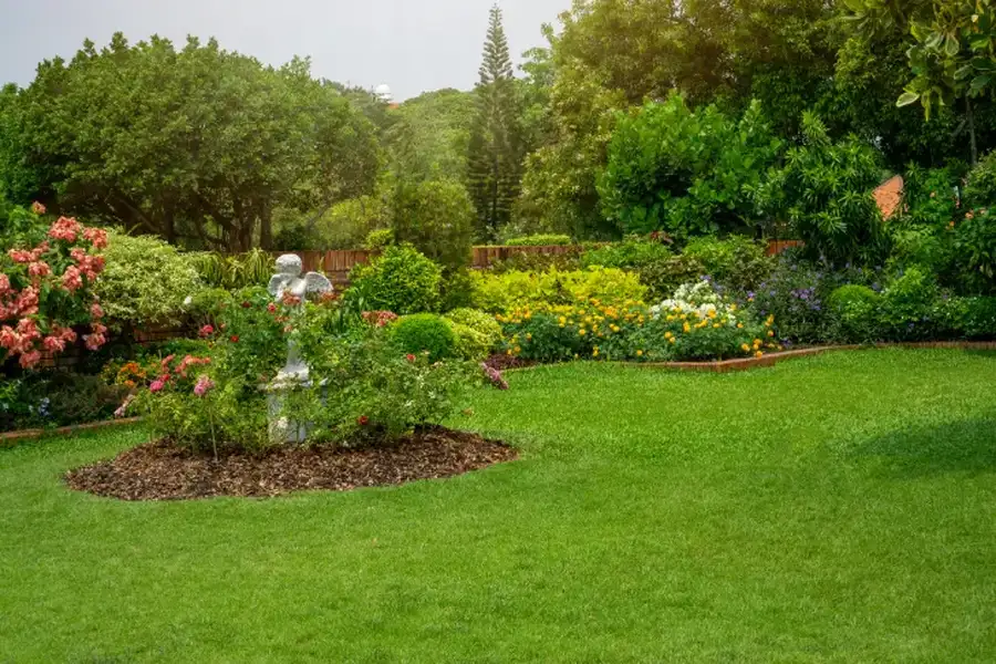 Signs Your Lawn Needs Professional Maintenance in Temecula, CA
