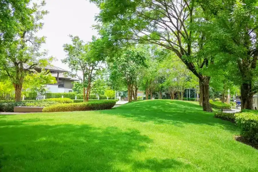 Tips For Choosing A Reliable Lawn Maintenance Service Temecula, CA